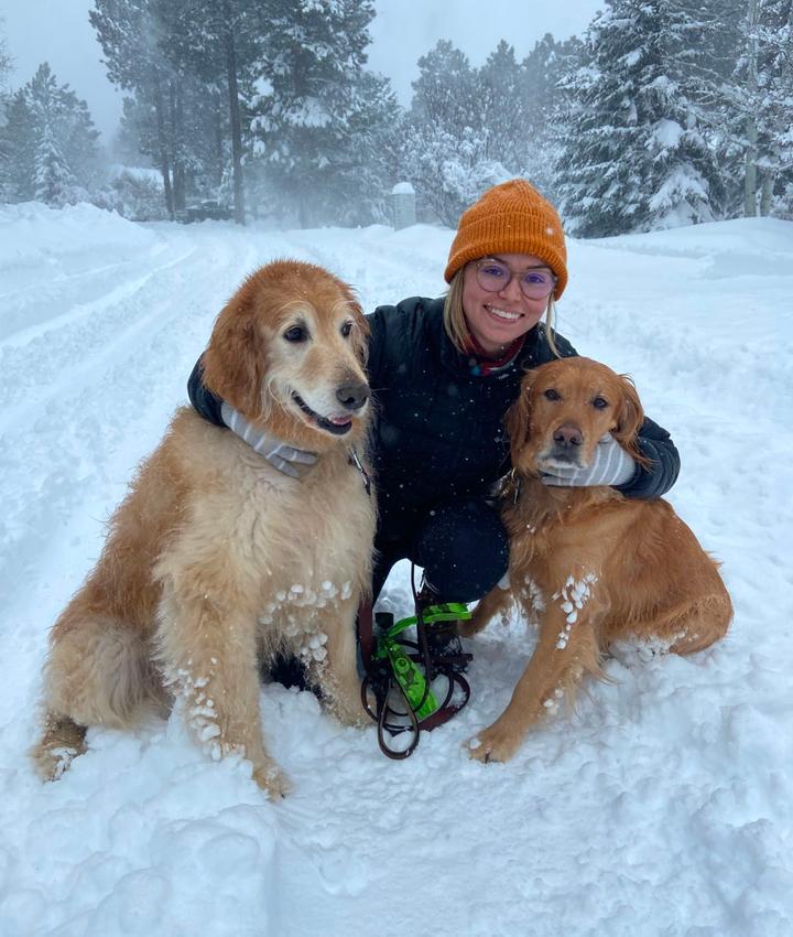 Experienced Veterinarians Animal Hospital in Flagstaff